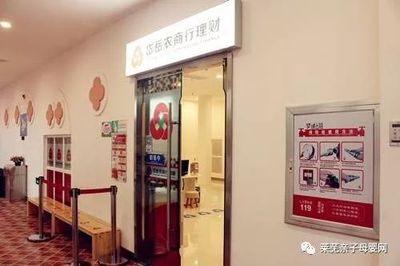 莱芜周边最具吸引力亲子项目推荐 旅行社服务助你轻松遛娃